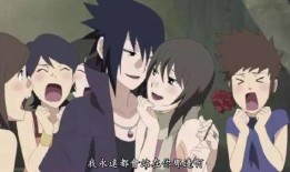 忍界佐助爆料视频大全集,揭秘宇智波家族秘辛与忍者世界风云