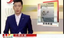 晨光最新爆料新闻视频播放,揭秘新闻视频背后的惊人真相